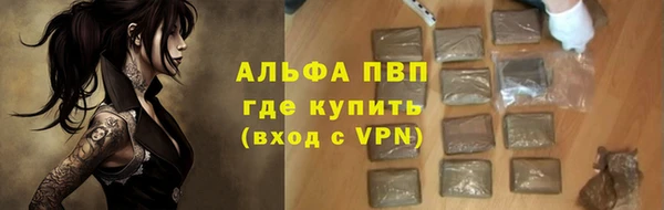 сатива Баксан