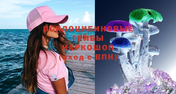бошки Аркадак