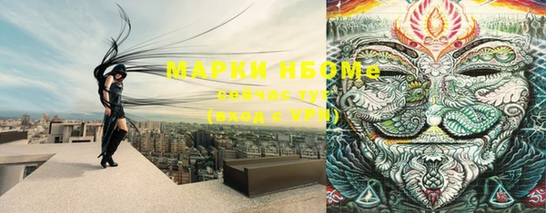гидропоника Арсеньев