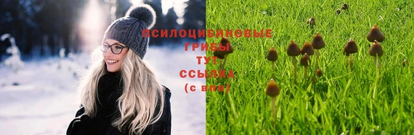 гидропоника Арсеньев