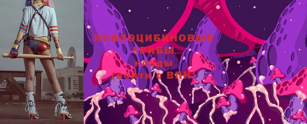 стафф Армянск